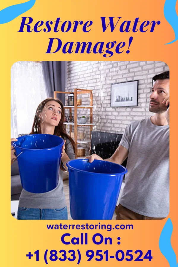 water restoration Platinum Water Damage Professionals Barton Creek
