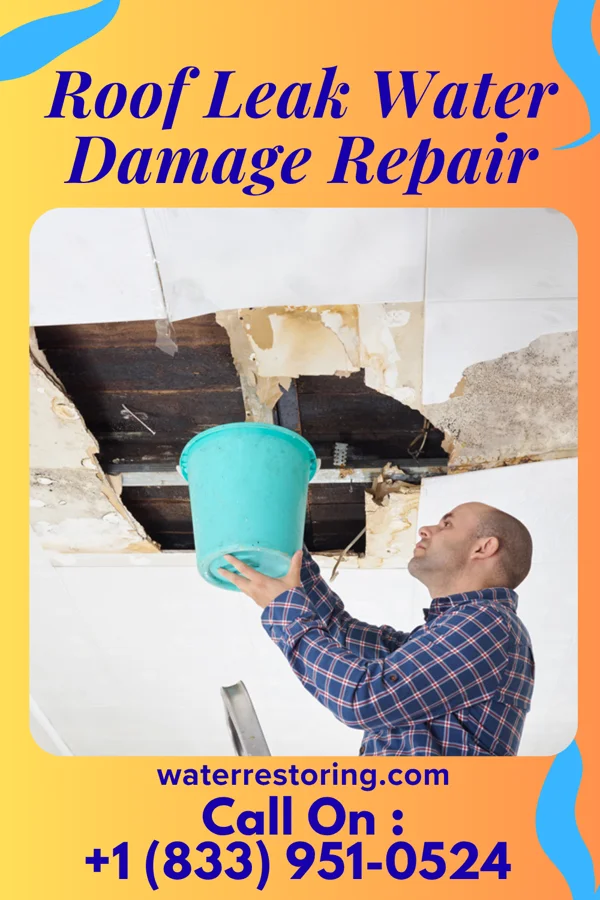 Roof Leak Water Damage Repair in Barton Creek, TX